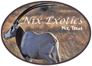 Nix Exotics